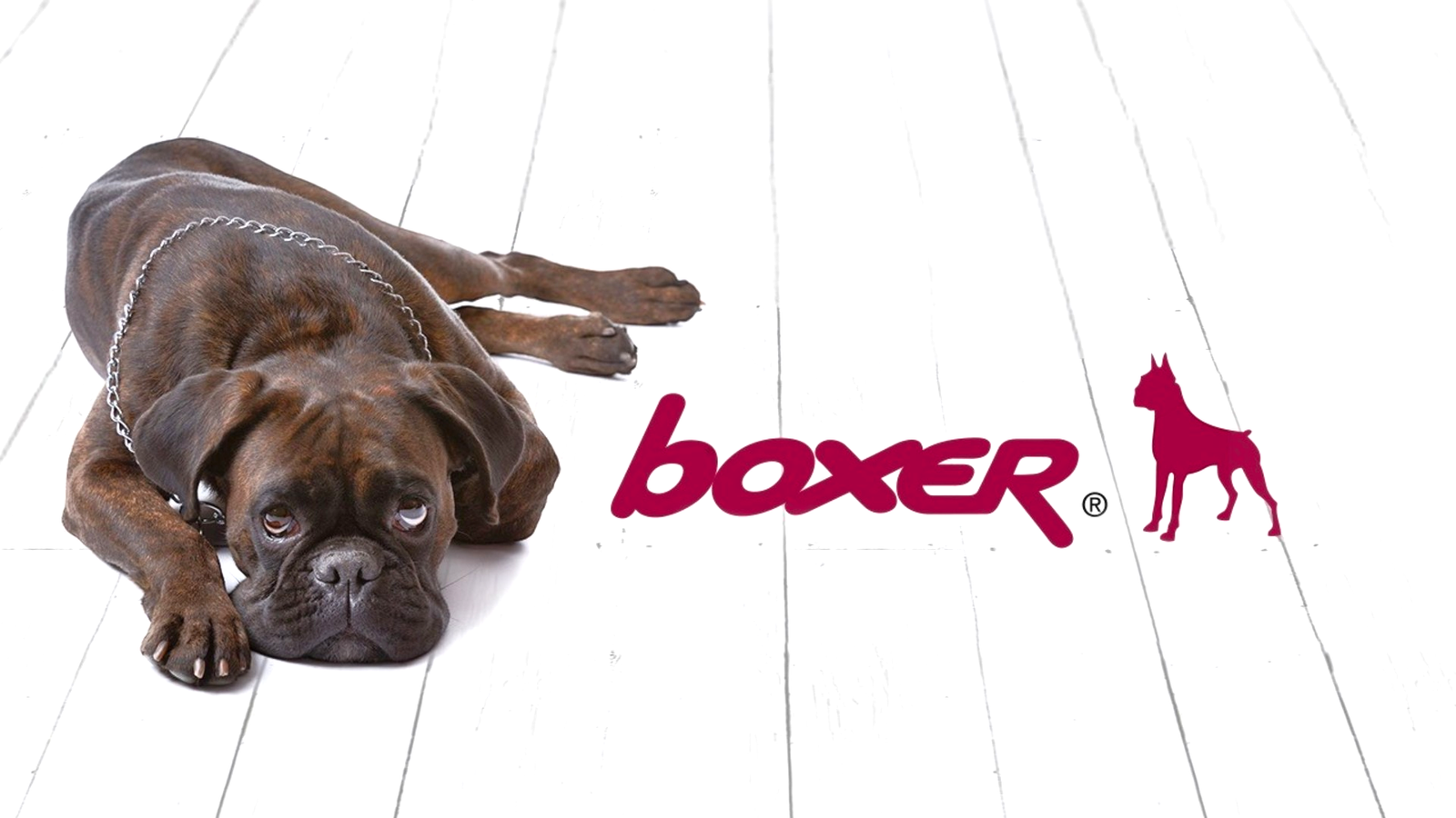 TasosShoes_Boxer_Shoes_megalo_banner